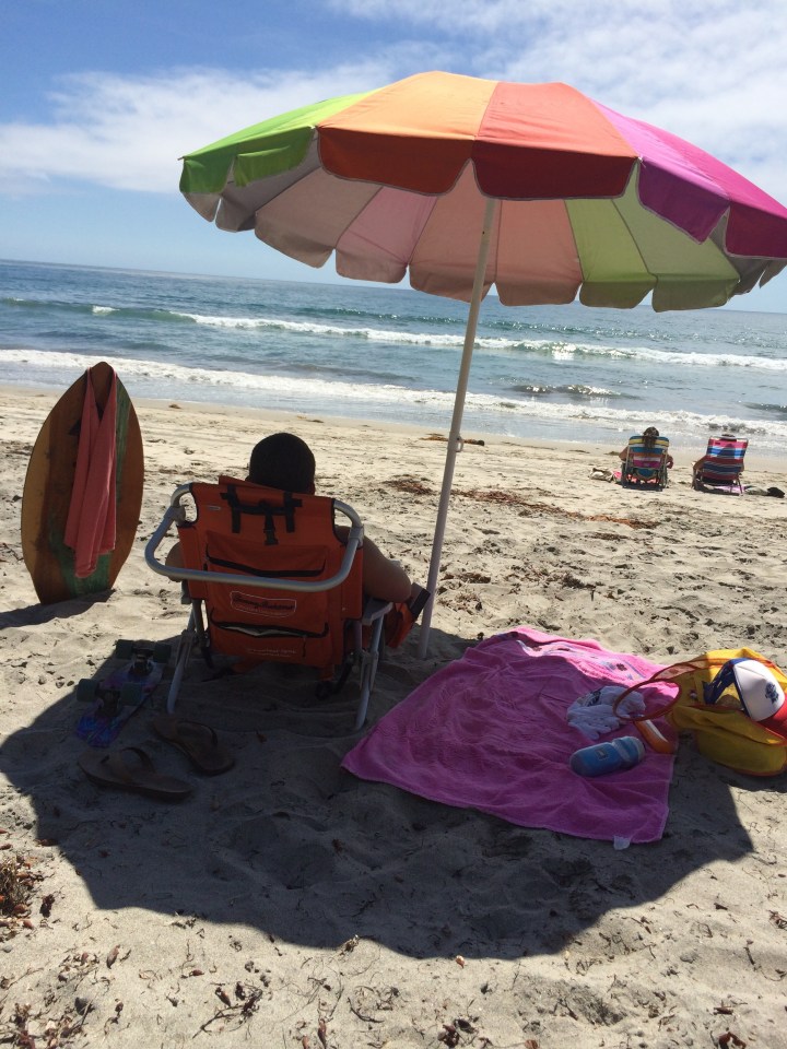 South Carlsbad State Beach