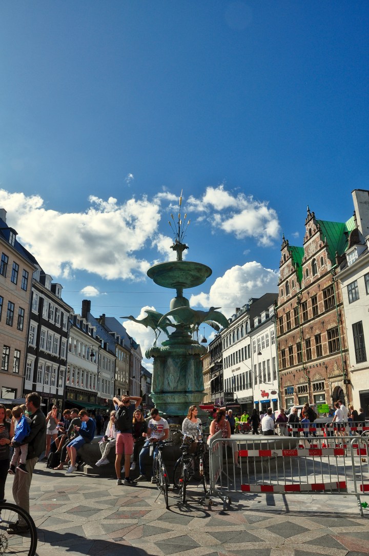 DSC_0160 2