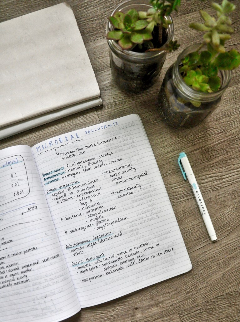 Clean up your NOTES clean up your LIFE – Dr Paige Hoel