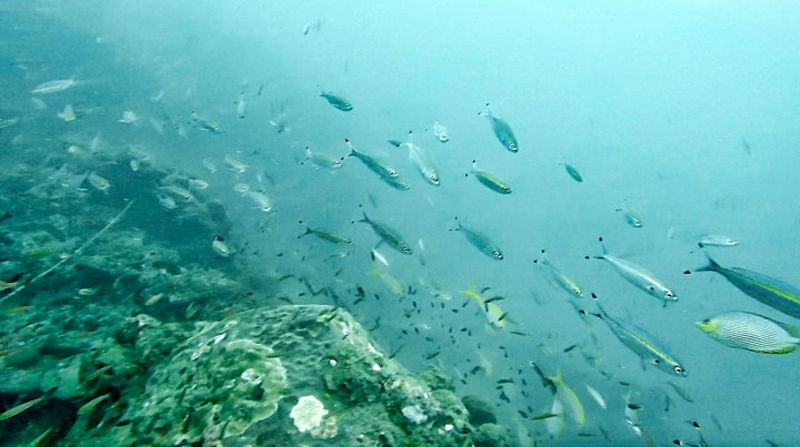 Screen Shot 2017-08-31 at 9.02.16 PM