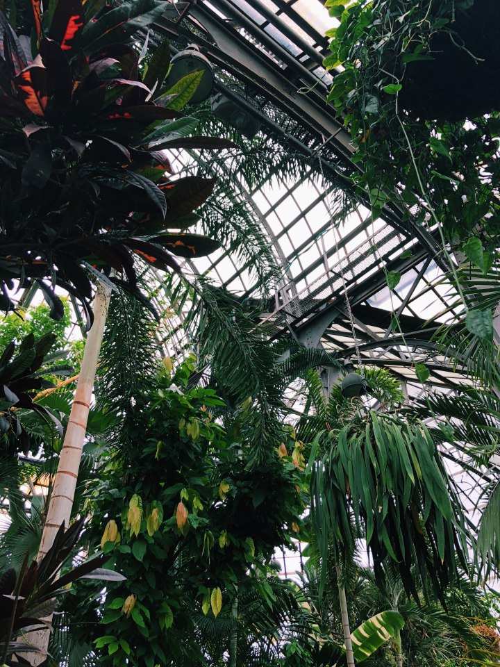 Processed with VSCO with c1 preset