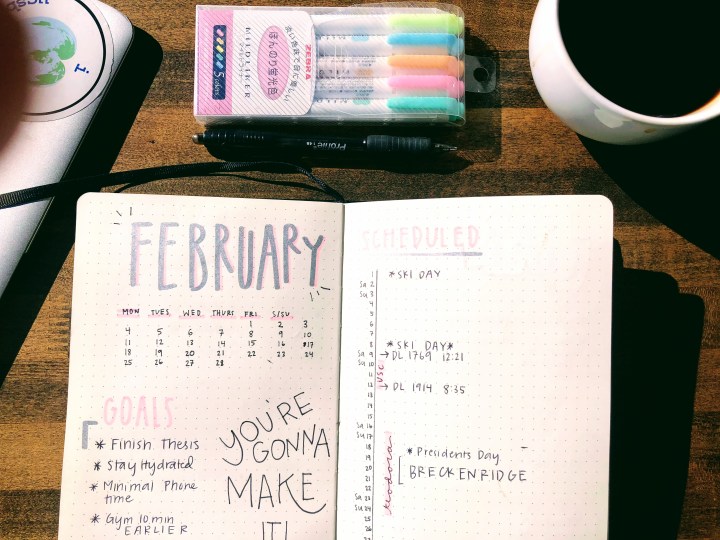 February Bullet Journal